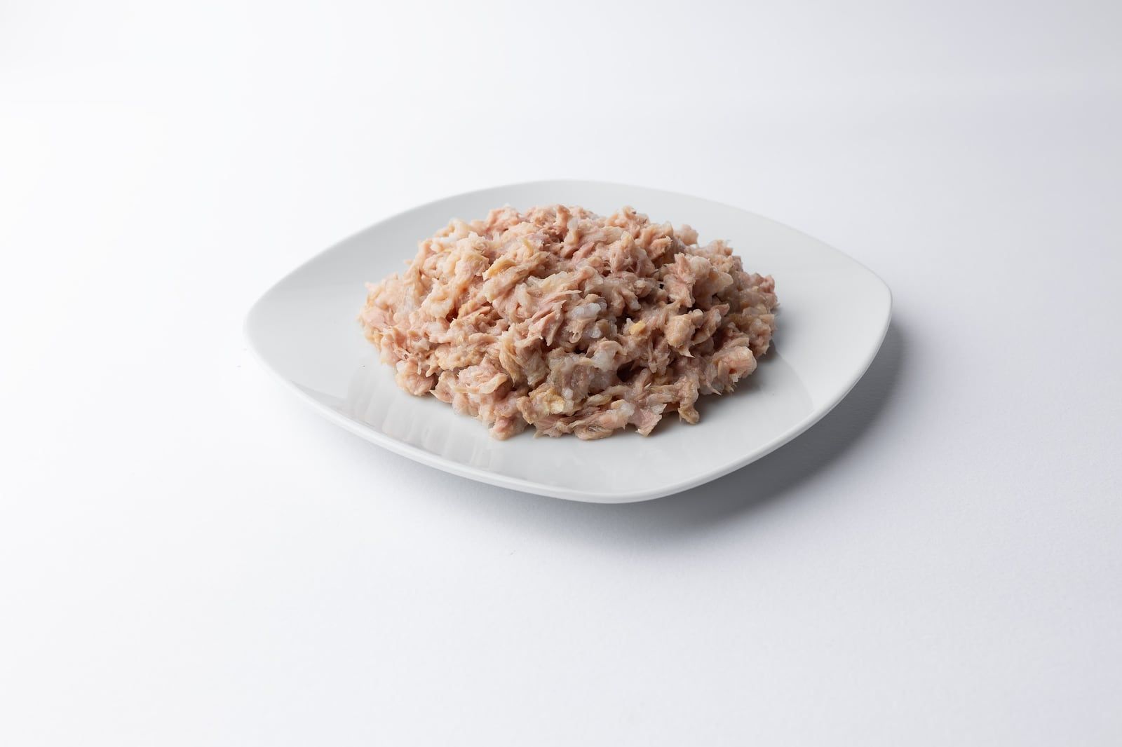Obsah kapsičky P13 Tuna & Salmon na bílém podlouhlém talířku