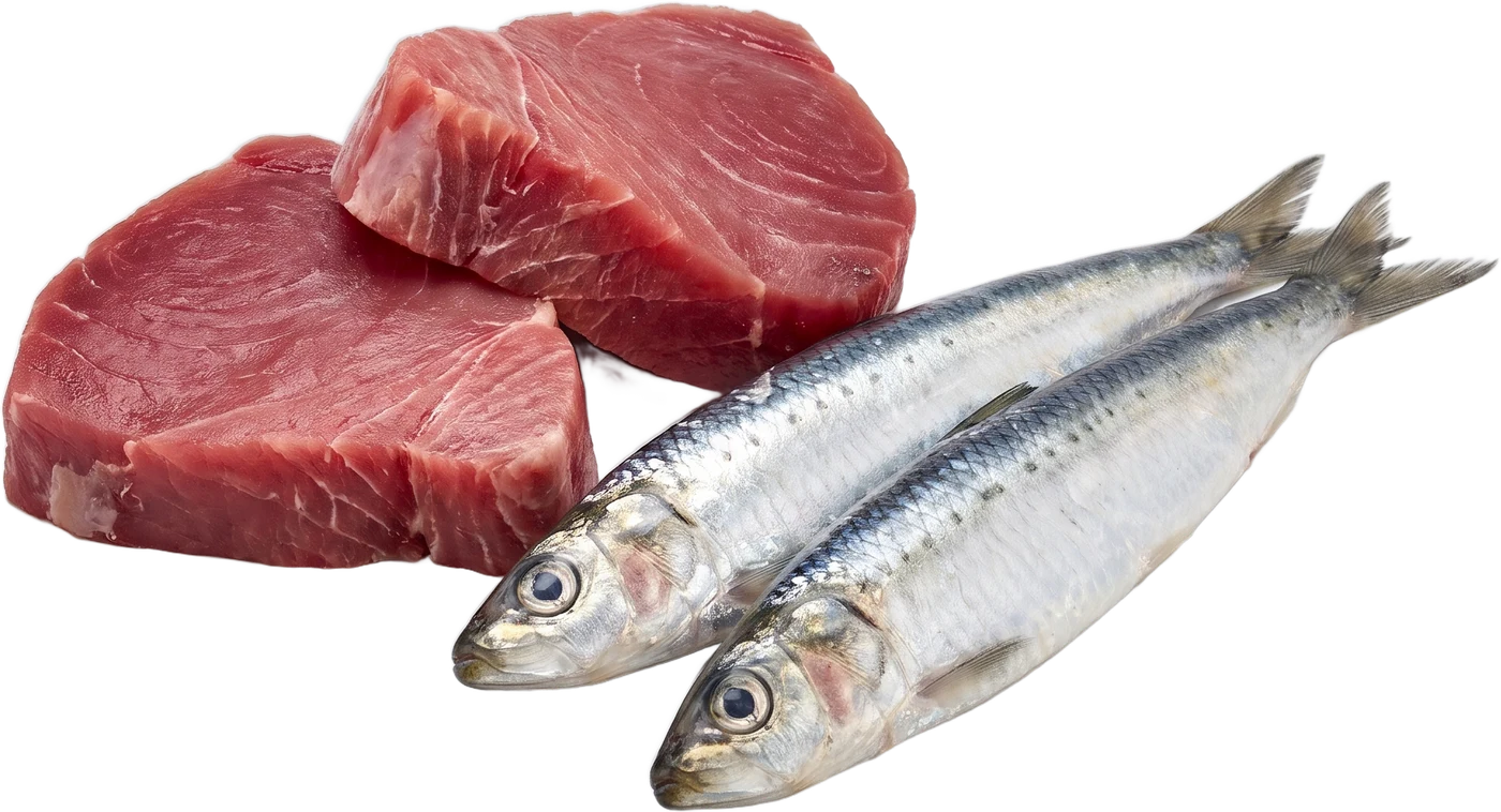 Suroviny receptury P02: kusy tuňáka a dvě sardinky