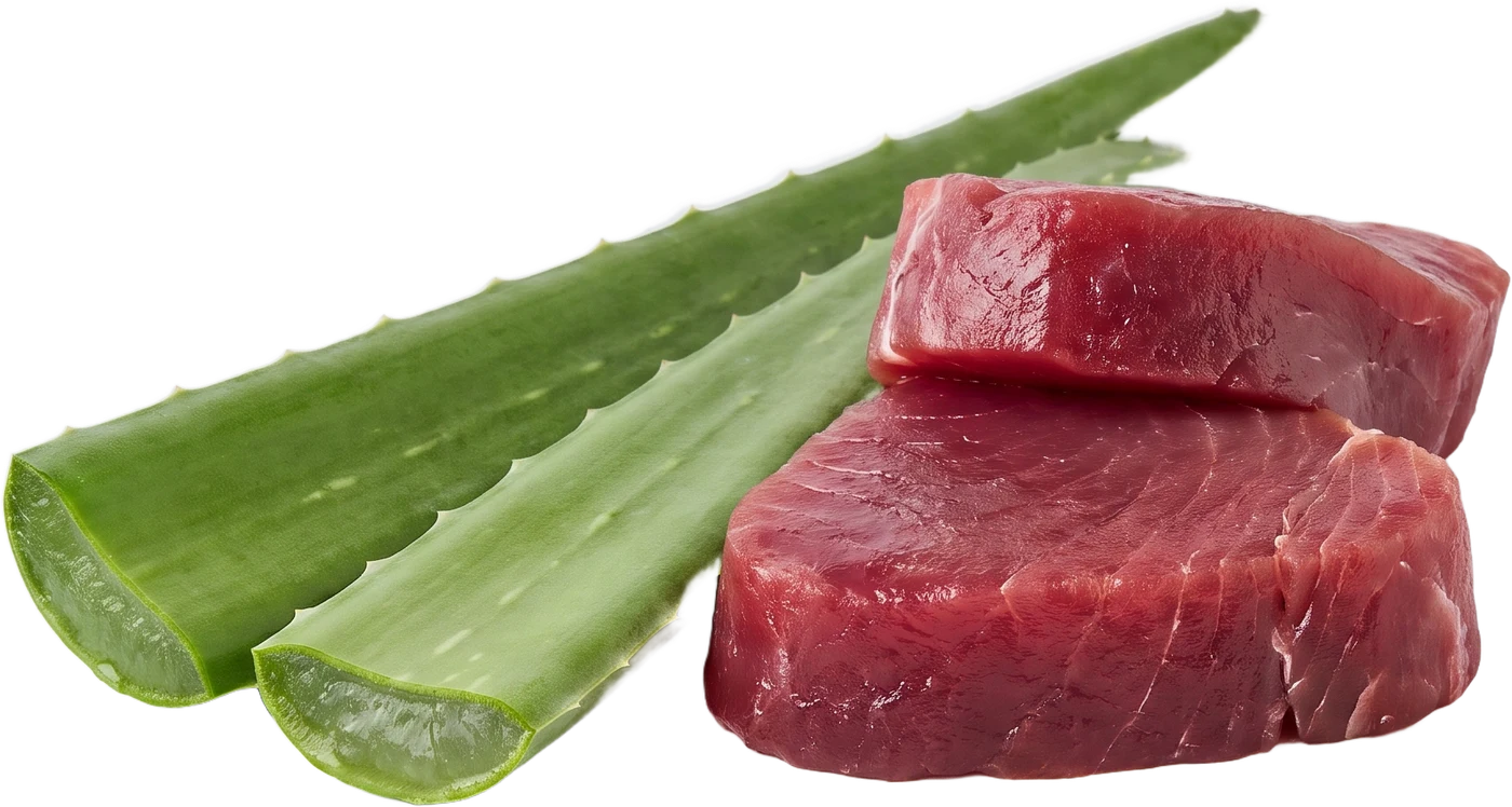 Suroviny receptury P12: kusy tuňáka a list aloe